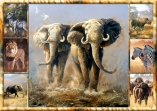 11990 Elephant Multipic Landscape  